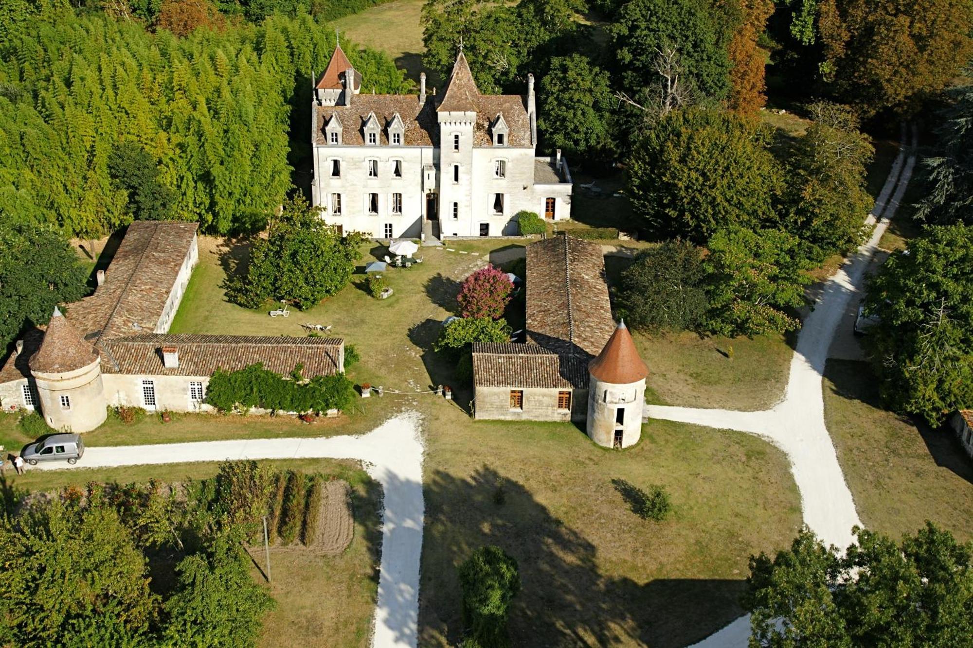 Chateau Des Salles Hotel Saint-Fort-sur-Gironde Ngoại thất bức ảnh